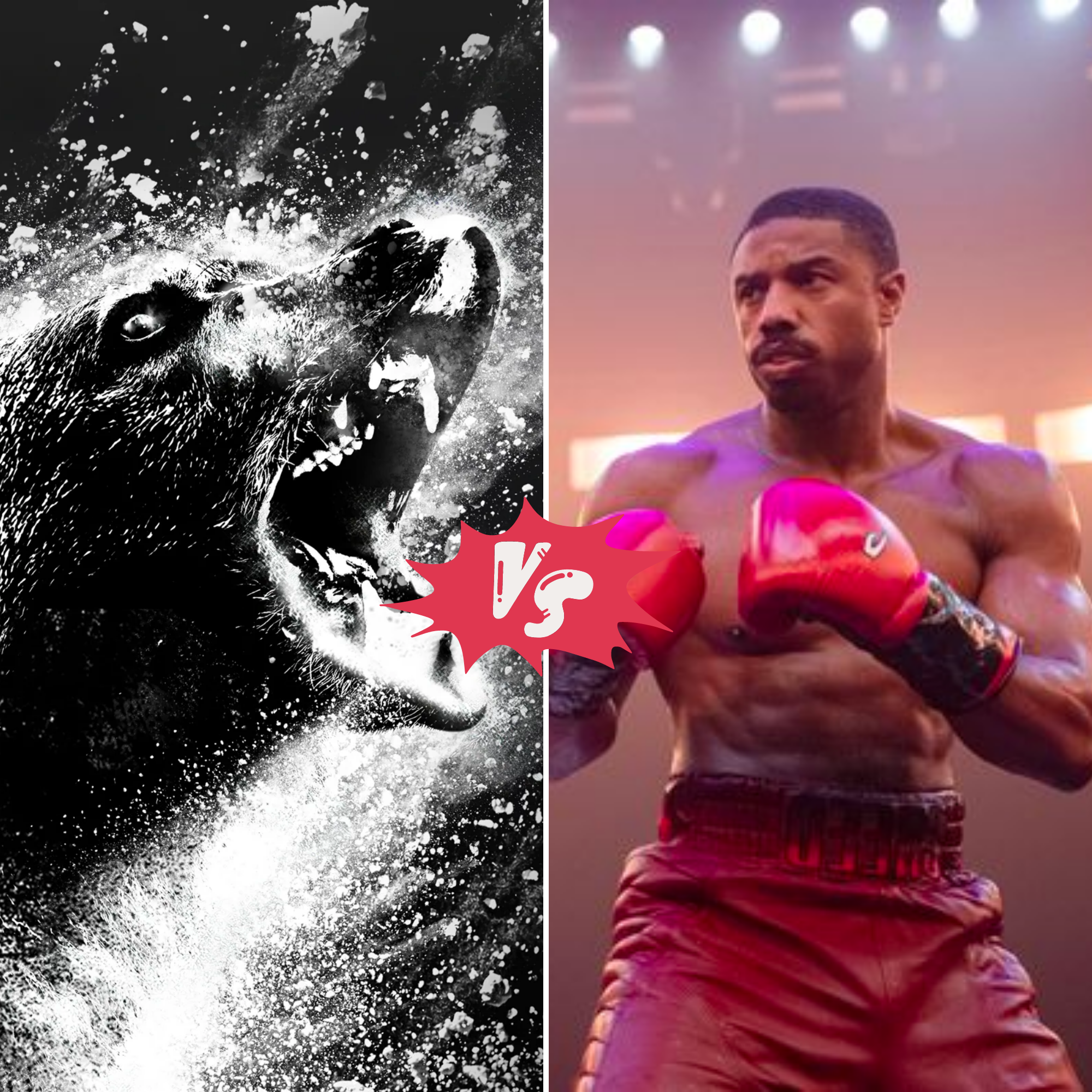 Cocaine Bear vs Creed III Double Feature Review – The Cinematic Schematic episode artwork