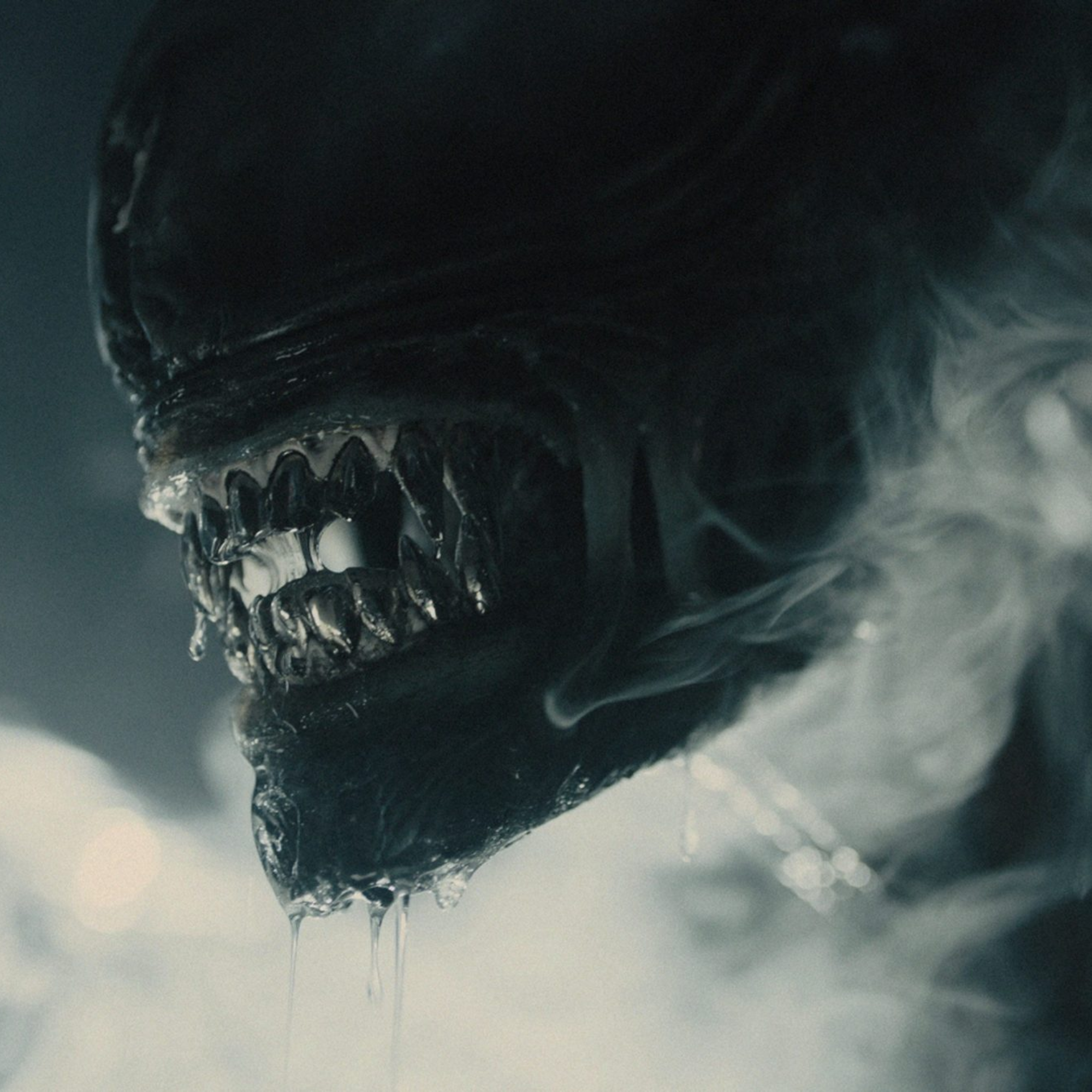 Alien: Romulus Review episode artwork